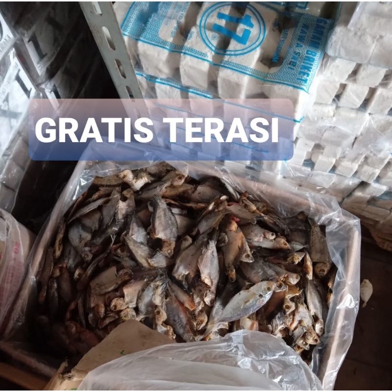 

IKAN SEPAT KERING 500 GRAM GRATIS TERASI