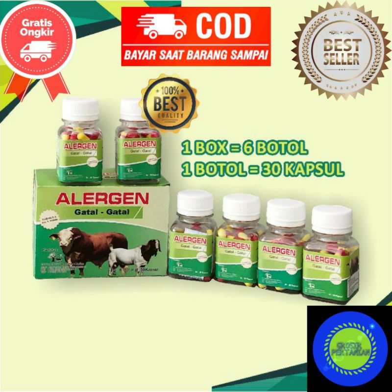 Alergen Obat Gatal dan Batuk Alergi Sapi Kambing Domba