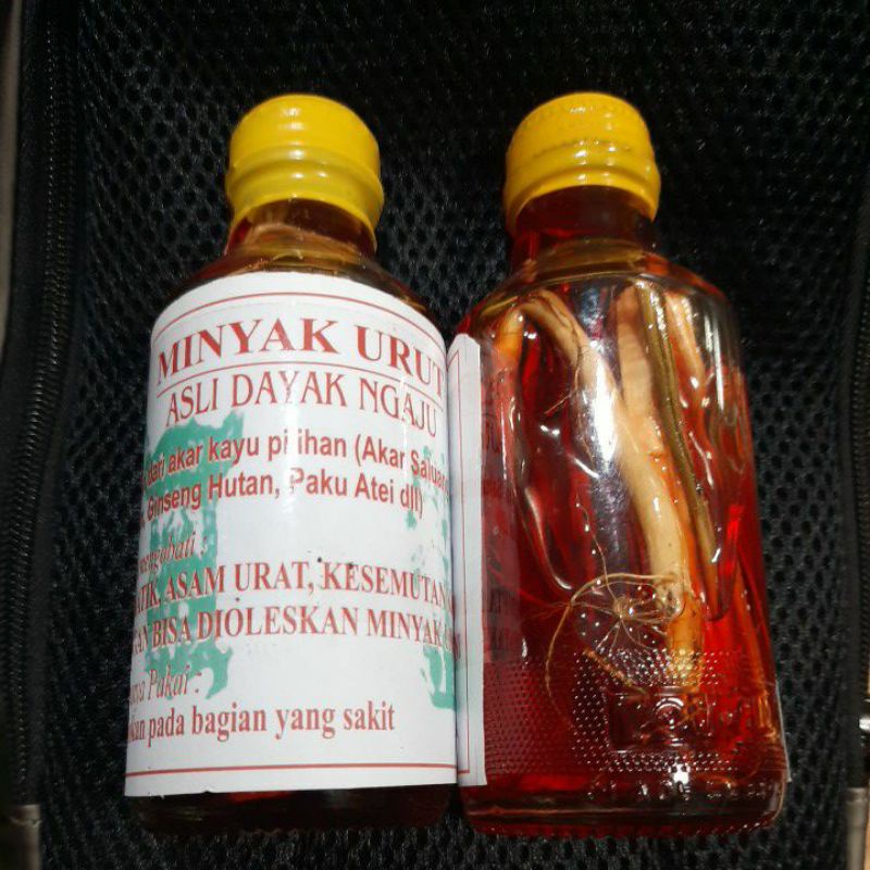 minyak urut dayak ngaju