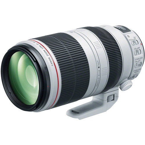 Canon EF 100-400mm f/4.5-5.6L IS II USM - Canon 100-400mm