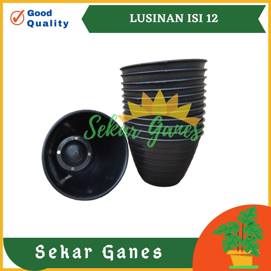 LUSINAN Pot Tawon 10 Hitam Pot Kecil Kaktus Gantung Hiasan Hidroponik Murah Pot Mini Minimalis Plastik Lucu 7 Cm Grosir - Lusinan Isi 12