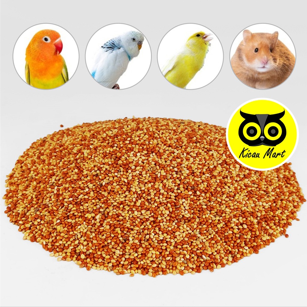 MILET CAMPUR 1 KG PAKAN BURUNG LOVEBIRD LB PARKIT KOMBINASI MILET MERAH MILET PUTIH GRADE A BIJI MILLET CAMPUR MIX SEED RED WHITE MILET SEMPATI