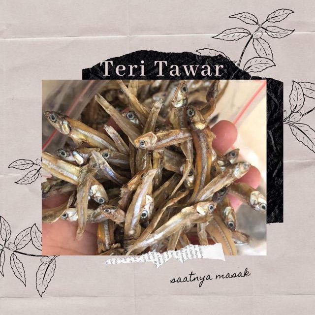 

Ikan Teri Tawar Sibolga