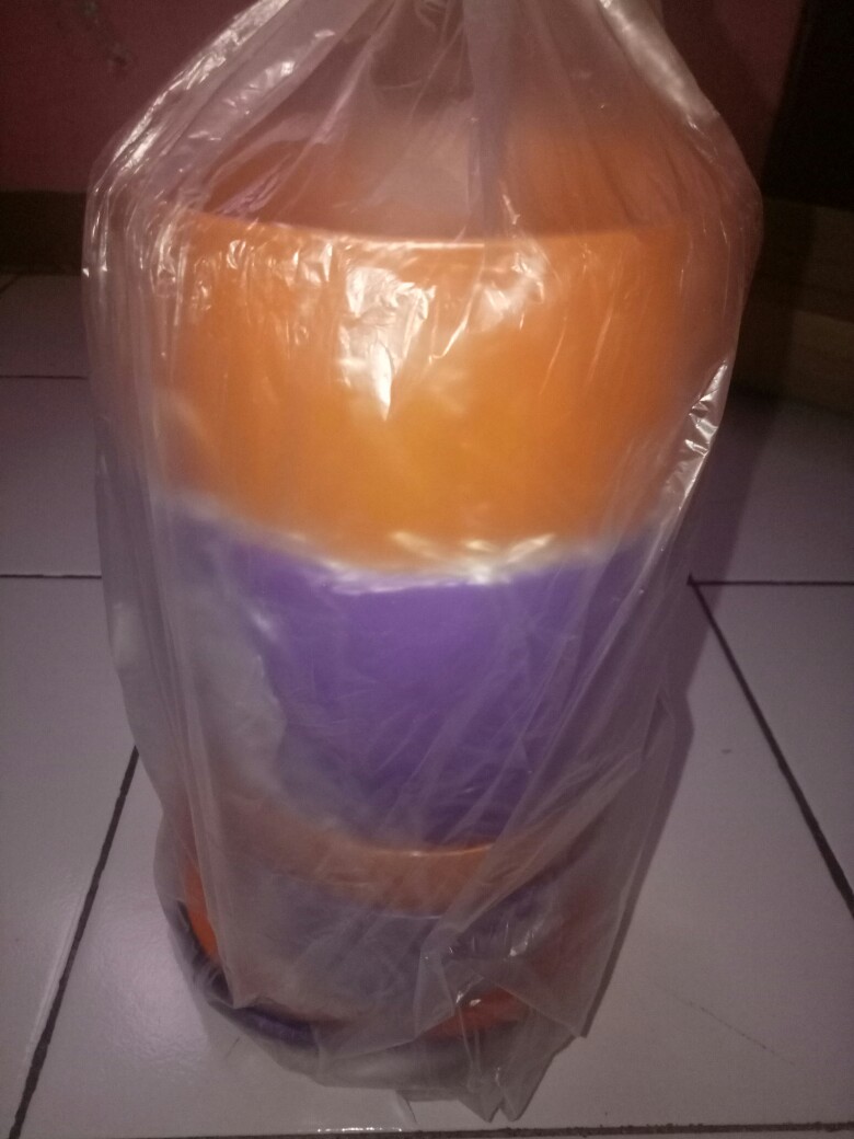 Tropical Round Paket Kotak Bulat 6p Summer Go Round