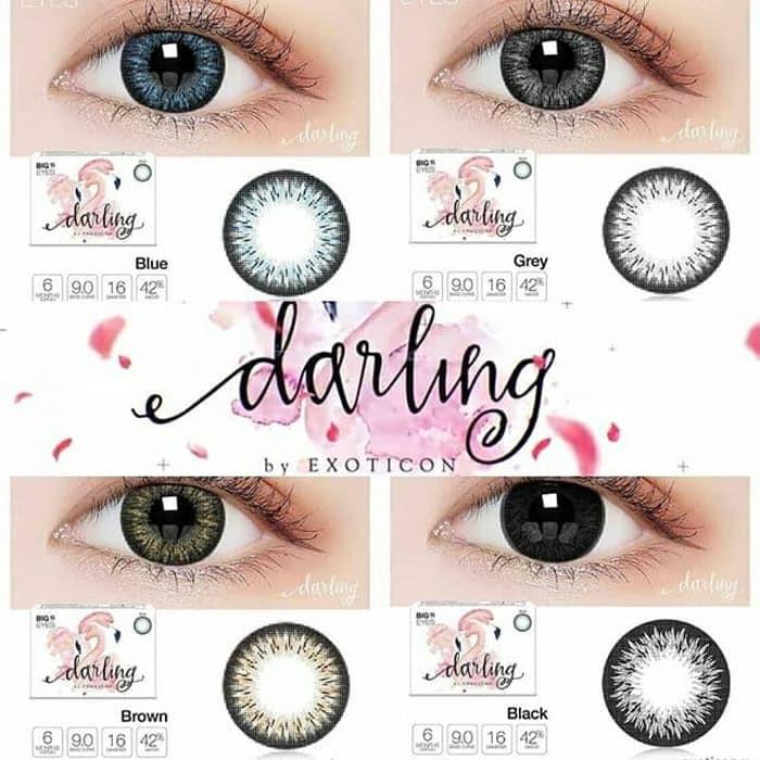 [ 1Kg=25pcs ]  SOFTLEN X2 DARLING NORMAL / SOFTLENS X2 DARLING