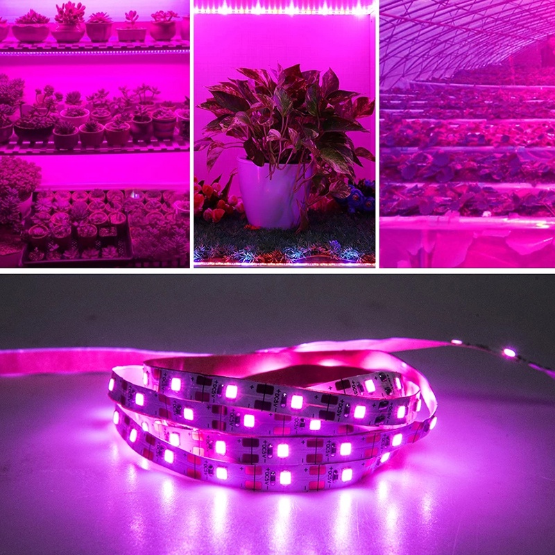 Lampu Strip LED Tenaga USB Ukuran 0.5 / 1 / 3m Untuk Pertumbuhan Tanaman