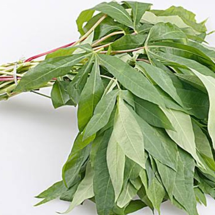 

DAUN SINGKONG per IKAT ASEPSAYUR Bandung