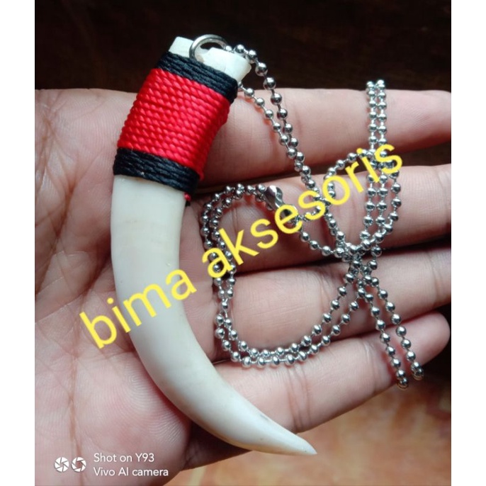 kalung taring babi kalung  tali rantai biji lada