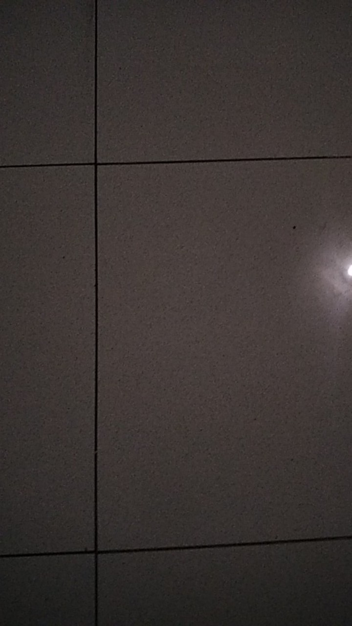 Tabasa Payung Panjang Polos Std Plastik