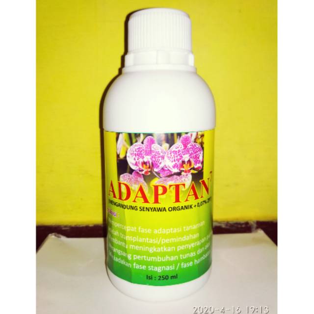 Adaptan7 vitamin b1 + hormon perangsang tumbuh anggrek 250 ml