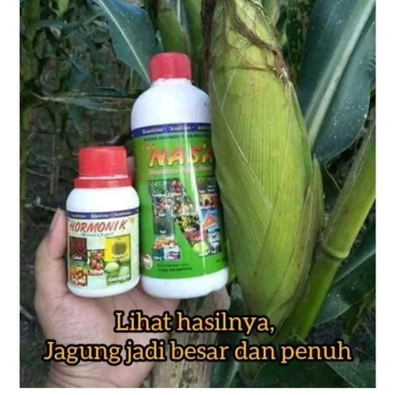 PUPUK JAGUNG NASA