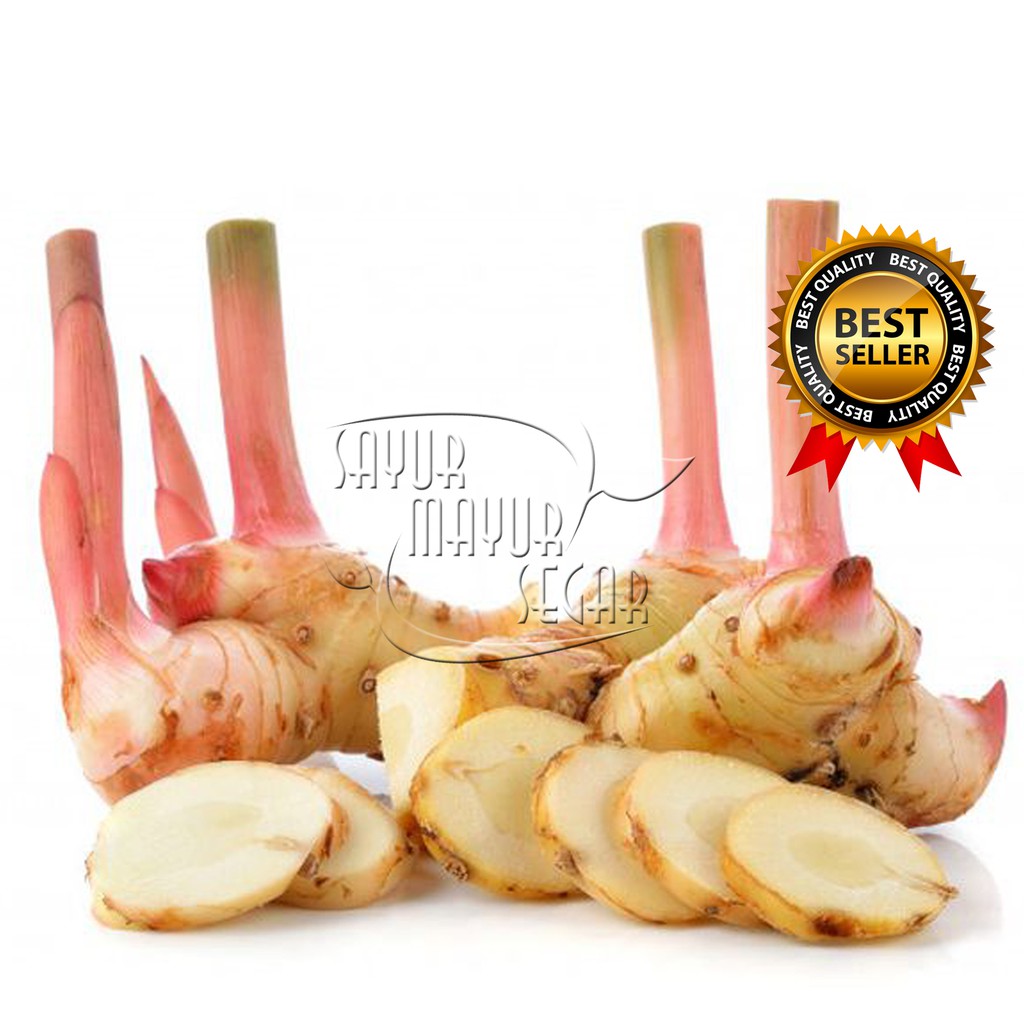 

KIRIM INSTAN LENGKUAS SEGAR / BUMBU MASAK / BUMBU DAPUR