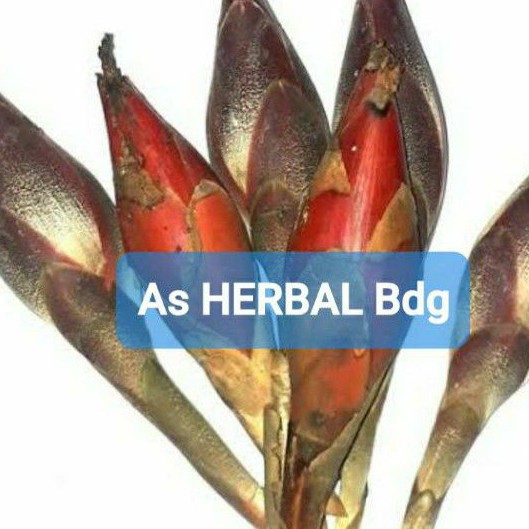 

Buah galoba buah goloba bauh pining segar ready 1 kg-az