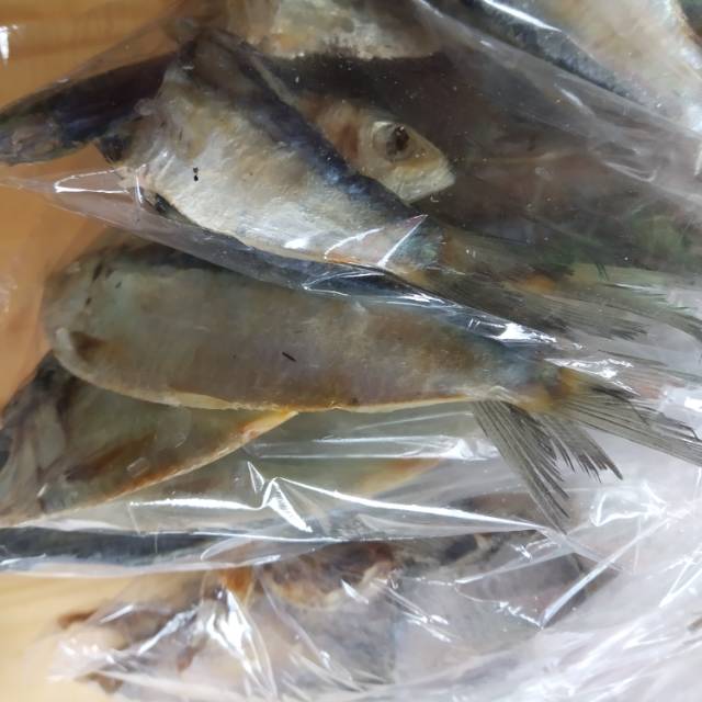 

Ikan asin tembang