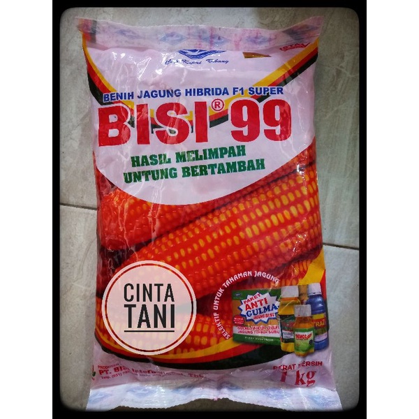 Benih Jagung Bisi 99 Original 1kg