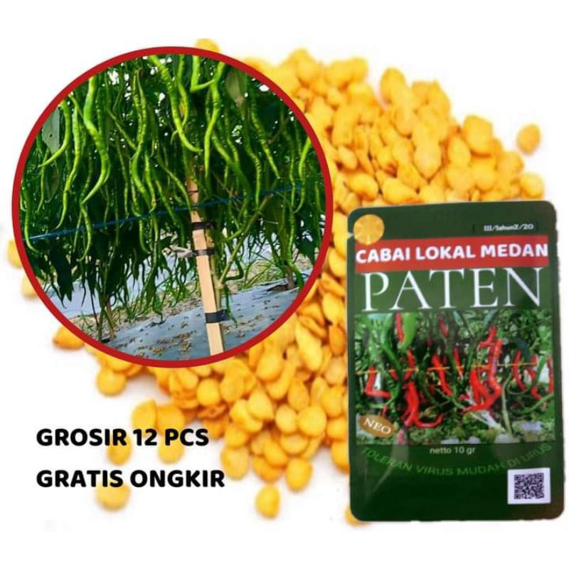 GROSIR 12 BKS PATEN Cabe Lokal Medan
