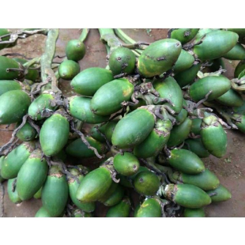 

Pinang muda 500gr