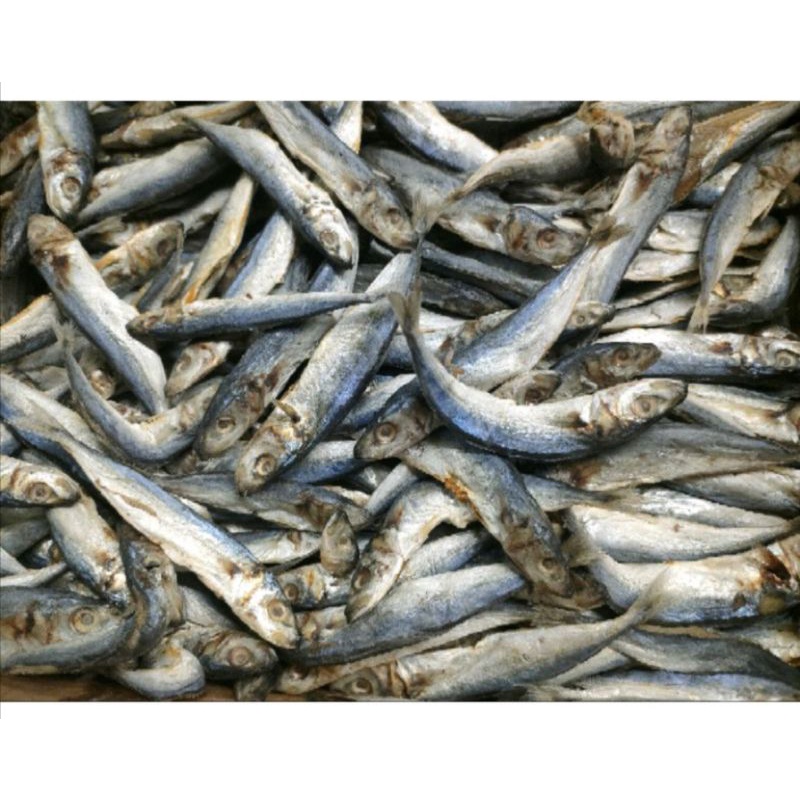 

pusat ikan tamban kering 1kg