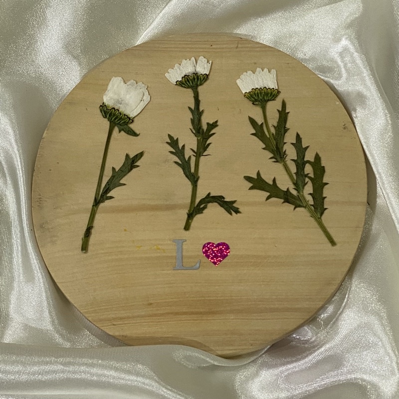 Pressed white daisy dried flower bunga kering preserved epoxy resin