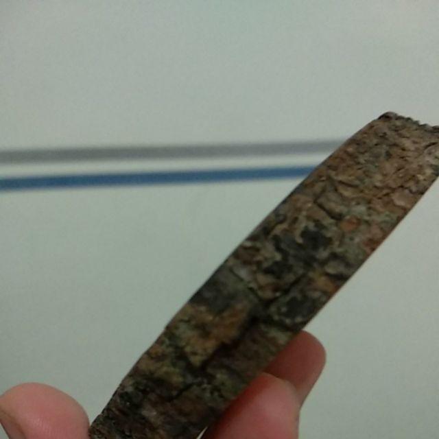 Birdnest Akar Wangi Diameter Luar +-15cm