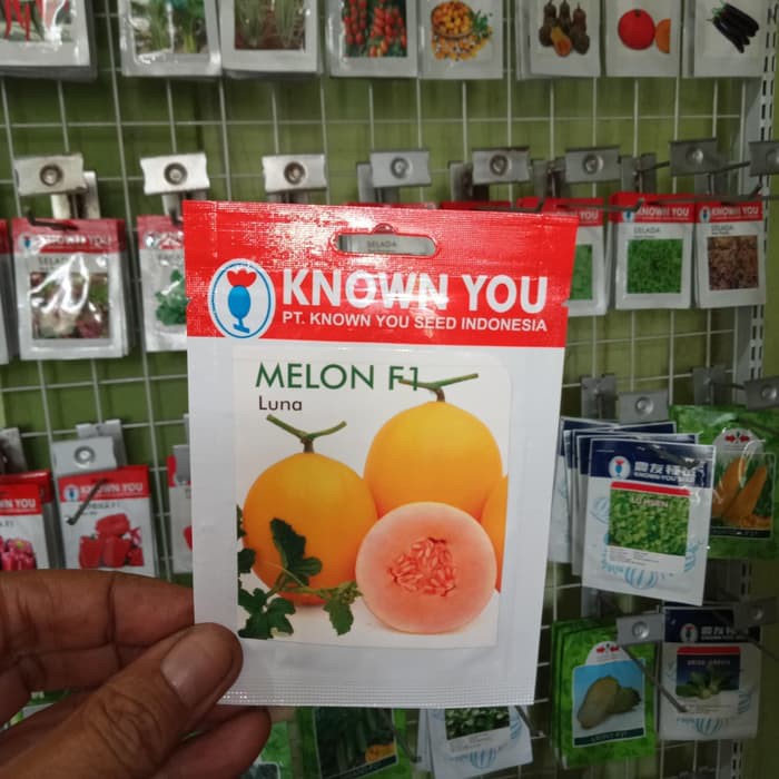 

Promo Benih Melon F1 LUNA, Known You Seeds Murah