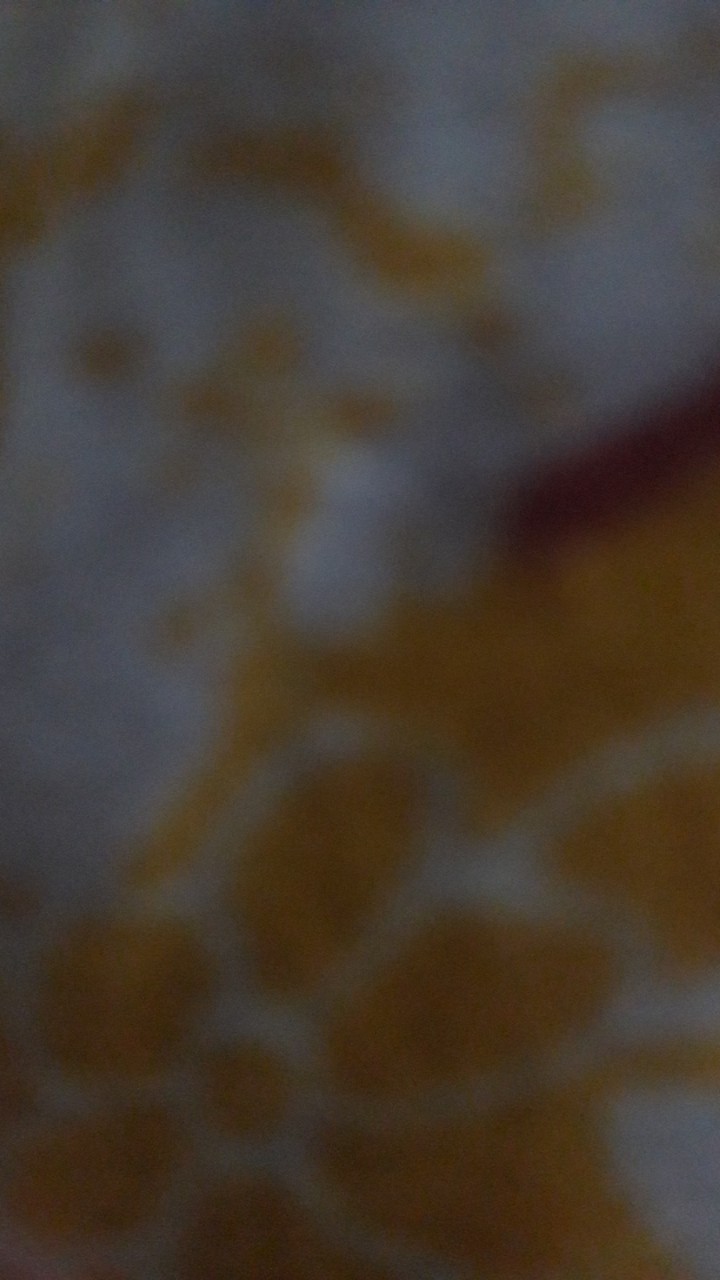 Bayar Ditempat Pump Dispenser 2in1 Holder Spon Tempat Sabun Cuci Piring