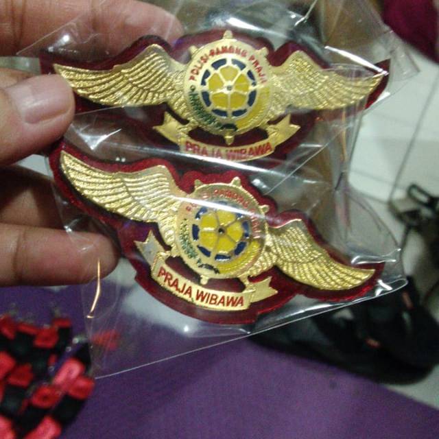 Pin praja wibawa
