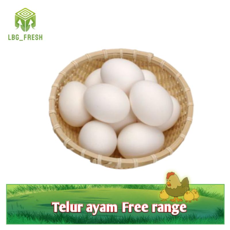 

Telur ayam Free range 10 Butir/ Telur Organik