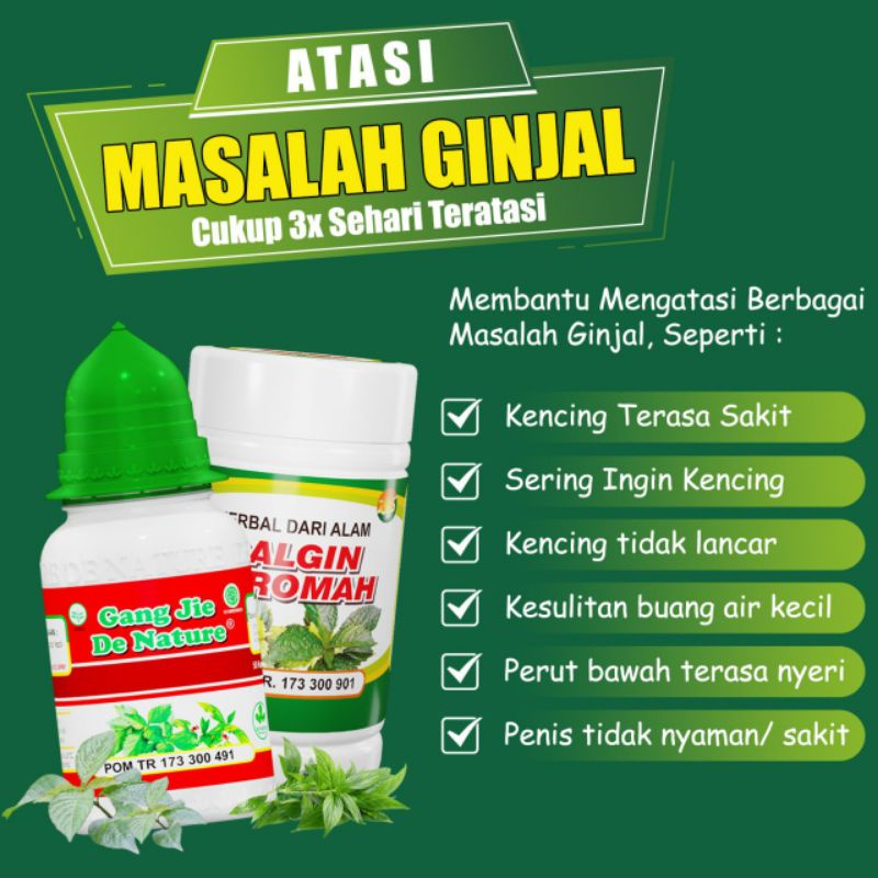 PAKET HERBAL GINJAL  KAPSUL GANG JIE GALGIN KAROMAH DE NATURE 100% ORI