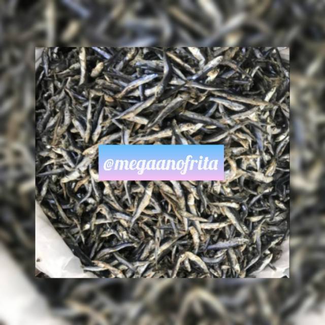 

MACO BADA KARANG 100 gr