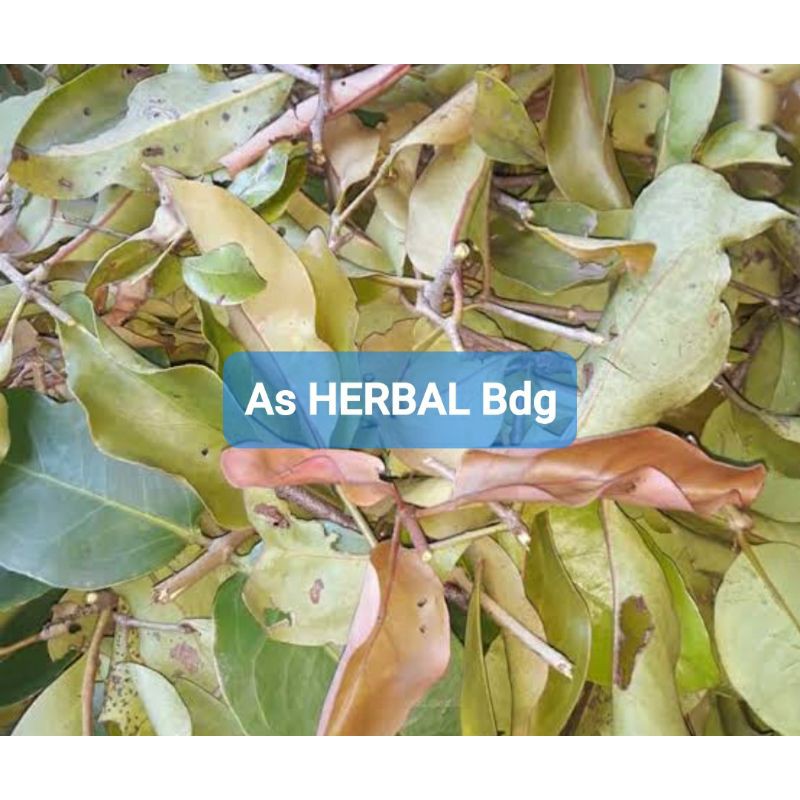 

Benalu cengkeh segar paket hemat 250 gram-az