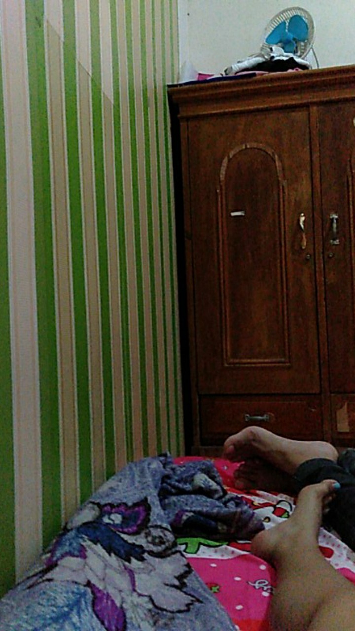 Tempat Tisu Panda