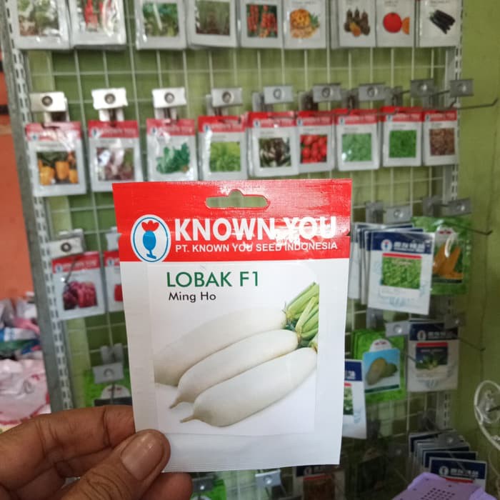 

Jual Benih Lobak F1 MING HO, Known You Seeds Diskon