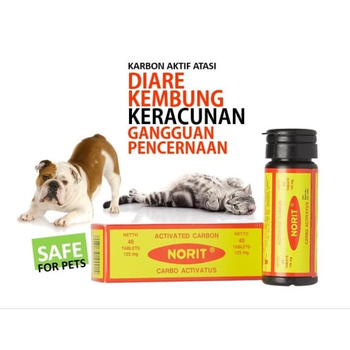 Obat aman untuk atasi keracunan dan diare anjing & kucing, NORIT