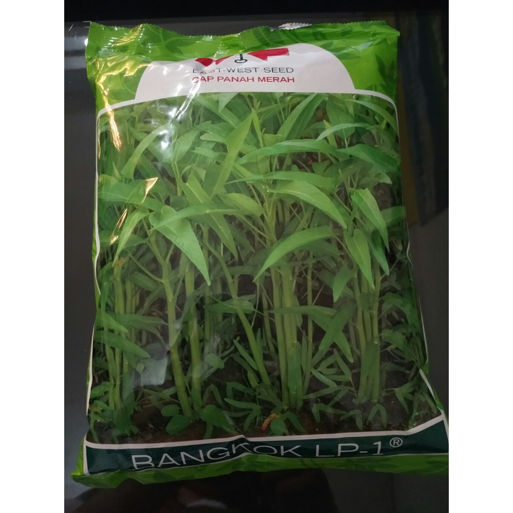 Jual Benih Kangkung Bangkok LP-1 1 Kg | Shopee Indonesia