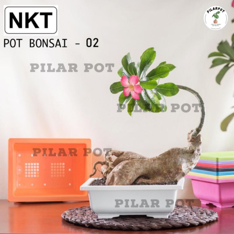 pot bunga tanaman ceper NKT BONSAI 02 PUTIH - NKT BONSAI 02 PUTIH