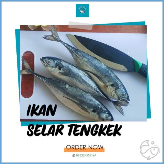 

Ikan selar Tengkek