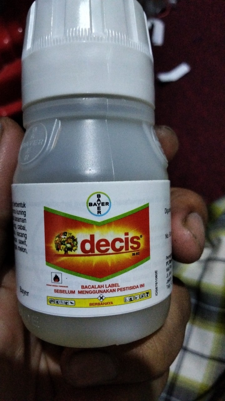 Insektisida Ulat Dan Hama Decis 25 Ec 50 Ml