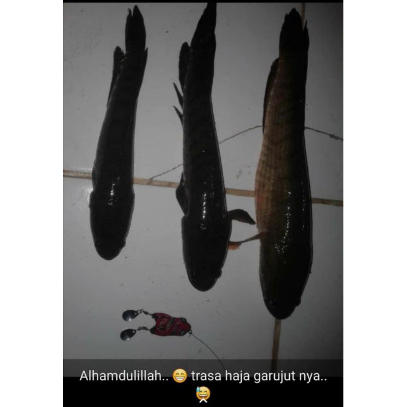 

#DOUBLEBLADELANALURE