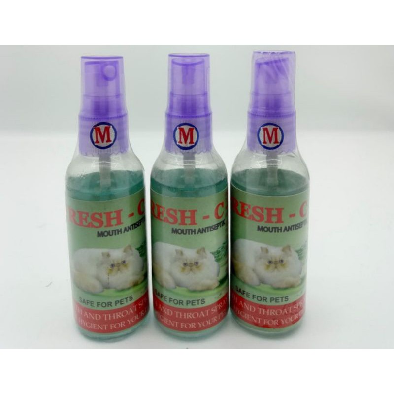 Penghilang bau mulut kucing obat semprot sakit radang tenggorokan cat kitten