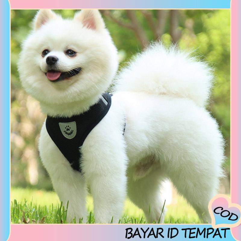 COD❤️ Pet Chest Back Leash Mesh Strip Reflektif Crossing Road Perlengkapan Hewan Peliharaan tahan aus-A.one