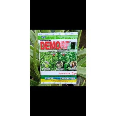 Demorf 60wp 5gr fungisida bahan aktif dimetomorf 60%