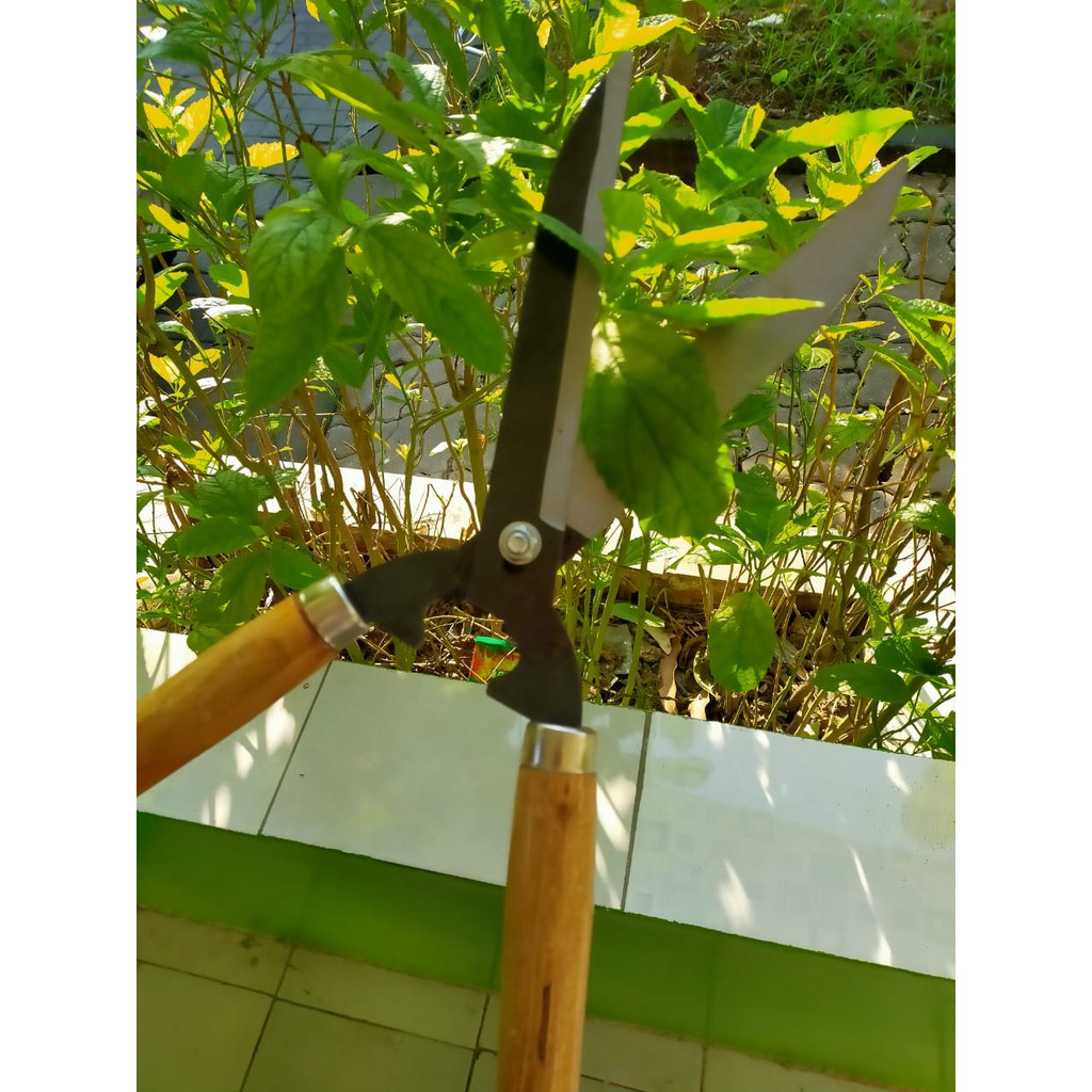 Alat Berkebun Gunting Rumput Gagang Kayu
