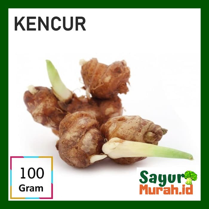 

KENCUR [100g]
