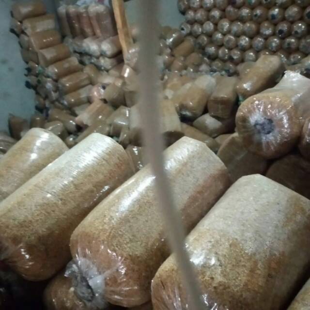 

Jamur tiram