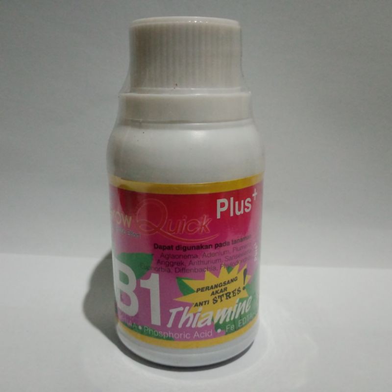 PUPUK VITAMIN B1