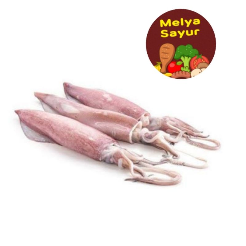 

Cumi segar - Cumi segar 400gr - Melyasayur