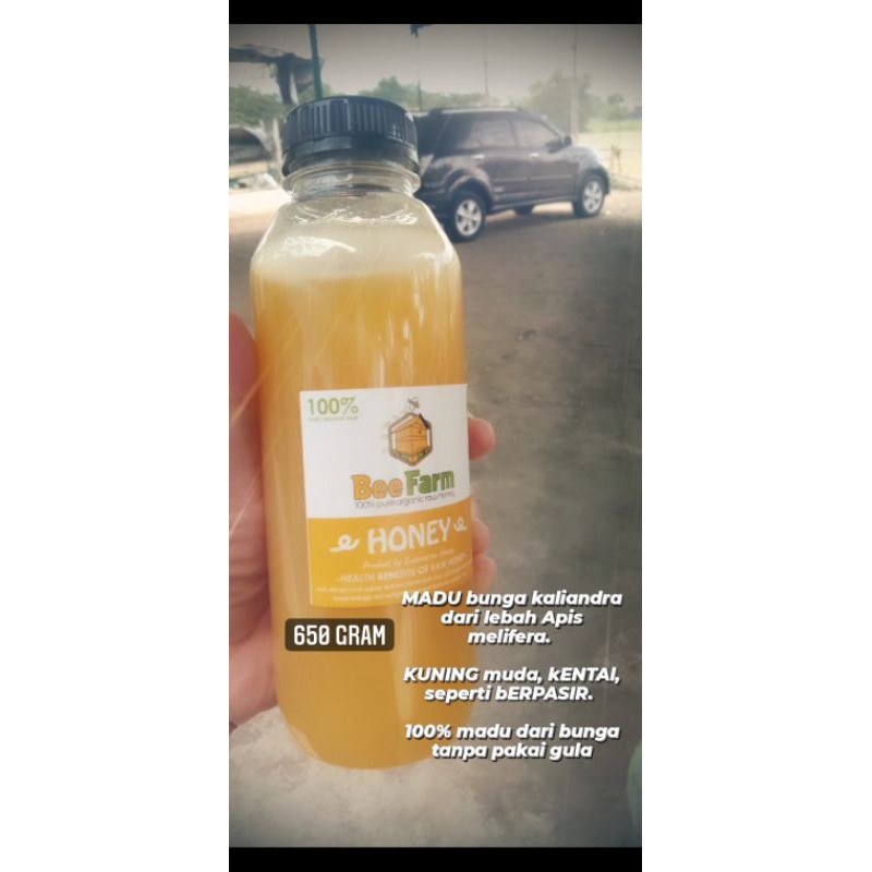

madu kaliandra 650gr/madu murni full nektar/raw honey/madu mentah