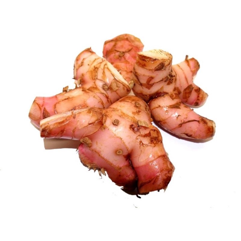

LAOS/LENGKUAS 500 gr/Bumbu masak/Bumbu dapur/Obat herbal