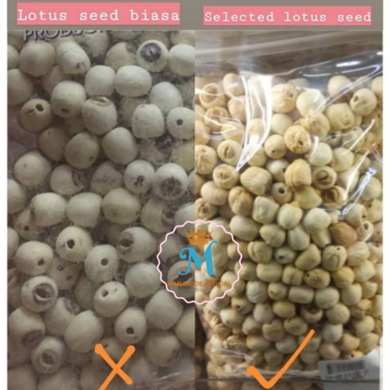 

BIJI TERATAI / LOTUS SEED " Grade AAA